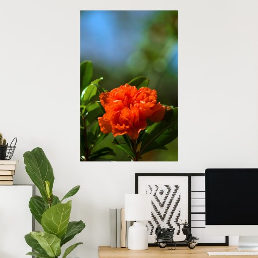 Poster Fleur de grenade (Bureau à domicile)