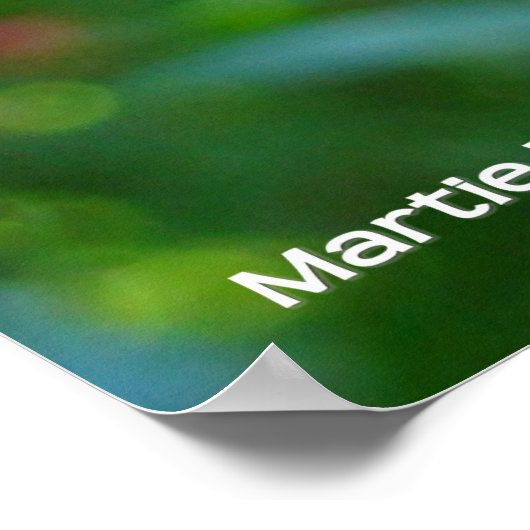 Poster Fleur de grenade éclairée (Coin)