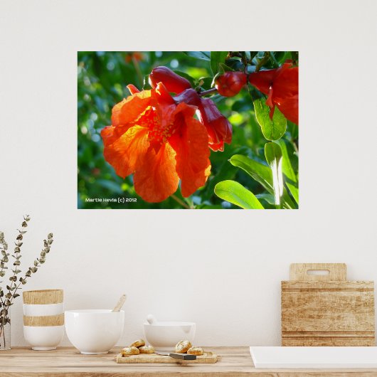 Poster Fleur de grenade éclairée (Cuisine)