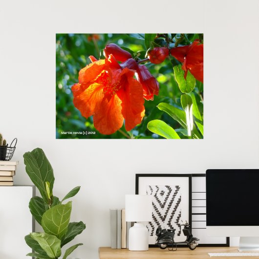 Poster Fleur de grenade éclairée (Bureau à domicile)