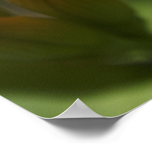 Poster Fleur de grenouille (Coin)