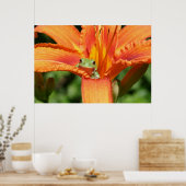 Poster Fleur de grenouille (Cuisine)