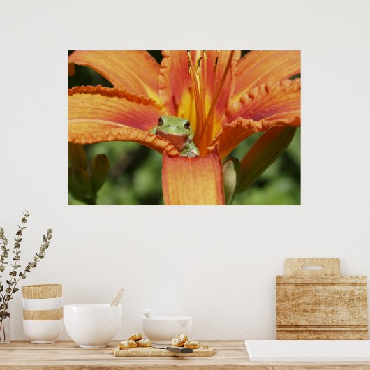 Poster Fleur de grenouille (Cuisine)