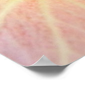 Poster Fleur de Hau rose (Coin)