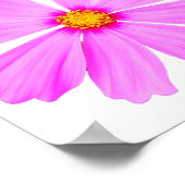 Poster Fleur de jardin à 9 baldaquins (Coin)