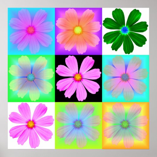 Poster Fleur de jardin à 9 baldaquins (Devant)