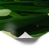 Poster Fleur de Jaune Iris Mélangez l'affiche parfaite (Coin)