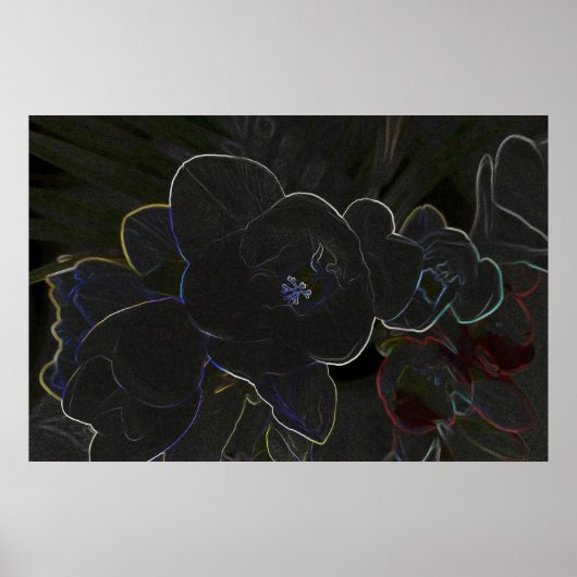 Poster fleur de la frénésie (Devant)