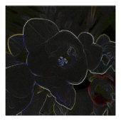 Poster fleur de la frénésie (Devant)