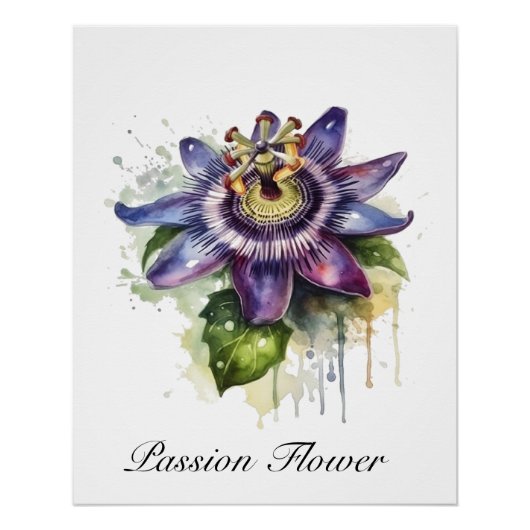 Poster Fleur de la Passion Pourpre Passionnée (Devant)