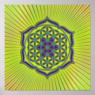 Poster Fleur de la vie / Blume des Lebens - Lotus Contour