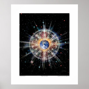 Poster Fleur de la vie sur terre