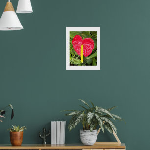 Poster Fleur de Laceleaf rouge Photographie florale