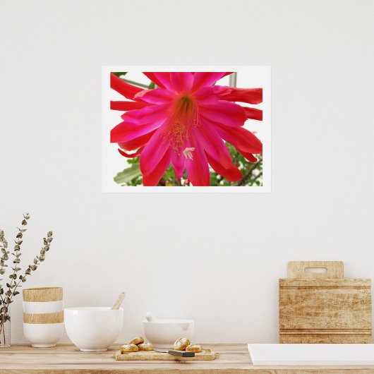 Poster Fleur de l'amour (Cuisine)