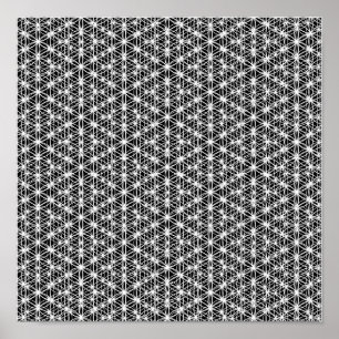 Poster Fleur de l'armure complexe #3 de la vie