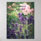 Poster Fleur de lavande et rose du jardin provençal (Devant)