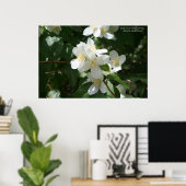 Poster Fleur de l'État de l'Idaho : Syringa (Bureau à domicile)