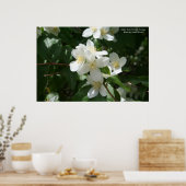 Poster Fleur de l'État de l'Idaho : Syringa (Cuisine)