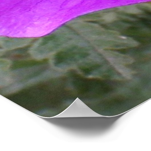 Poster Fleur de l'humanité (Coin)