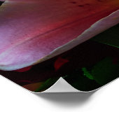 POSTER FLEUR DE LILAS ROSE (Coin)