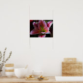 POSTER FLEUR DE LILAS ROSE (Cuisine)
