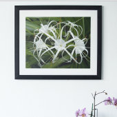 Poster Fleur de Lis Blanche Fleurit Floral