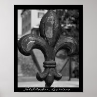Fleur de lis en fer forgé Natchitoches