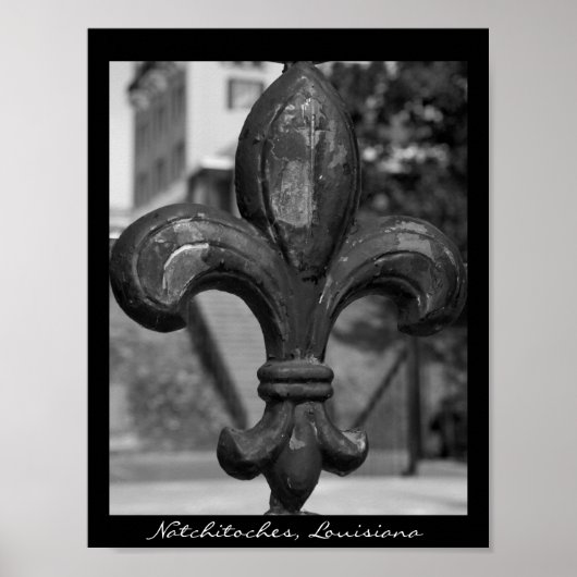 Poster Fleur de lis en fer forgé Natchitoches (Devant)