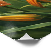 Poster Fleur de lis tigré (Coin)