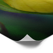 Poster Fleur de l'orchidée à chèvre jaune sauvage (Coin)