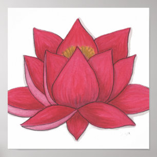Poster Fleur de lotus