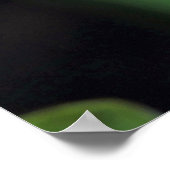 Poster Fleur de Lotus à l'Oeil (Coin)