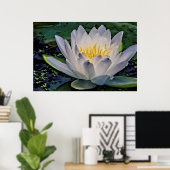Poster Fleur de Lotus blanc brillant (Bureau à domicile)