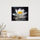 POSTER FLEUR DE LOTUS BLANC ET REFLET (Cuisine)