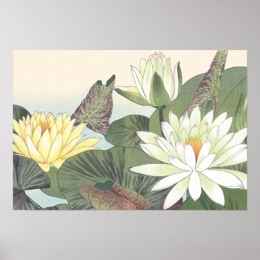 Poster Fleur de lotus blanc vintage japonais (Devant)