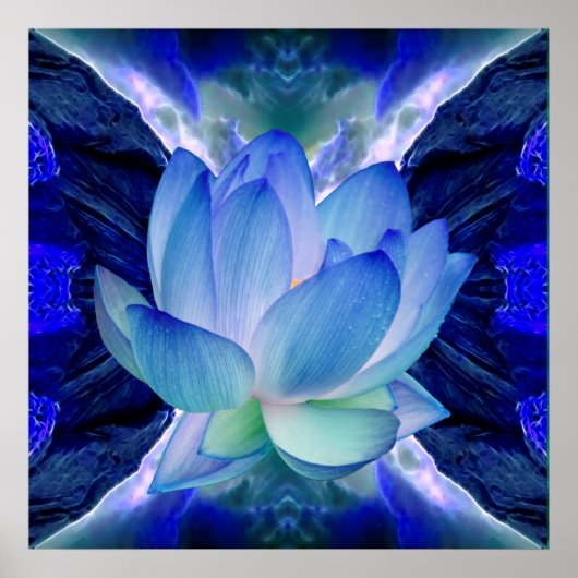 Poster Fleur de lotus bleu (Devant)