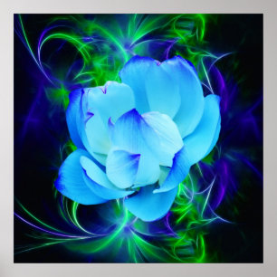 Poster Fleur de lotus bleu et sa signification