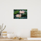 Poster Fleur de lotus en fleurs, Chine (Cuisine)