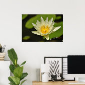 Poster Fleur de lotus (Lys d'eau) (Bureau à domicile)