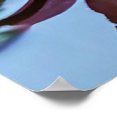 Poster Fleur De Lotus Rose Avec Pétales Vibrants (Coin)