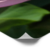 Poster Fleur de Lotus rose II Floral d'été (Coin)