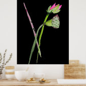 Poster Fleur de Lotus rose Zen peinture aquarelle art (Cuisine)