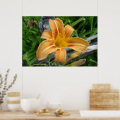 Poster Fleur de lys de tigre de couleur orange. (Cuisine)