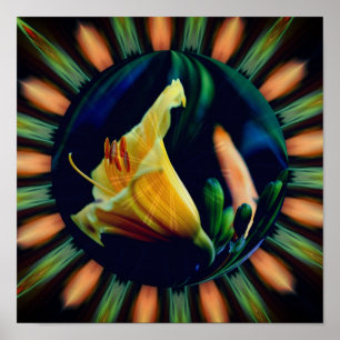 Poster Fleur de lys orange Floral Abstrait Art de la natu