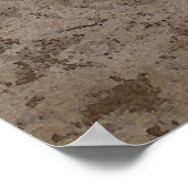 Poster Fleur de Magnolia (Coin)