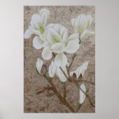 Poster Fleur de Magnolia (Devant)