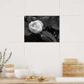 Poster Fleur de Magnolia en noir et blanc (Cuisine)