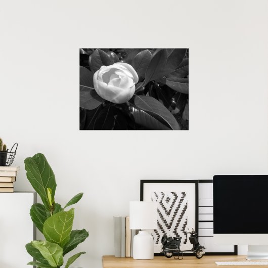 Poster Fleur de Magnolia en noir et blanc (Bureau à domicile)