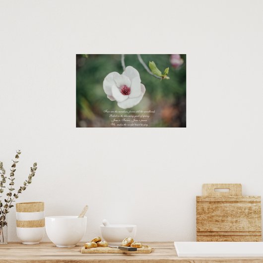 Poster Fleur de Magnolia Japonaise Blanche avec Ancien Hy (Cuisine)