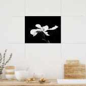 Poster Fleur de Magnolia noir et blanc (Cuisine)